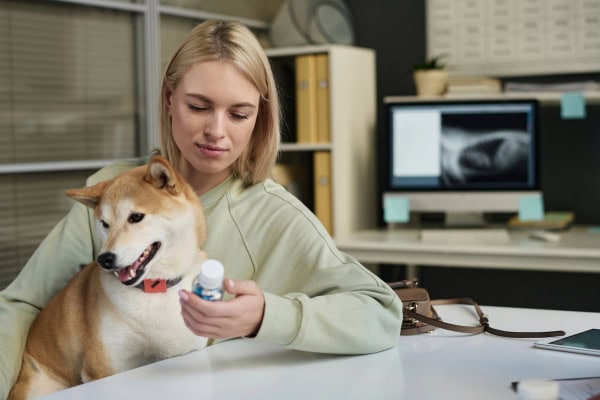 Owner reading about medications that may interact with fluoxetine for dogs