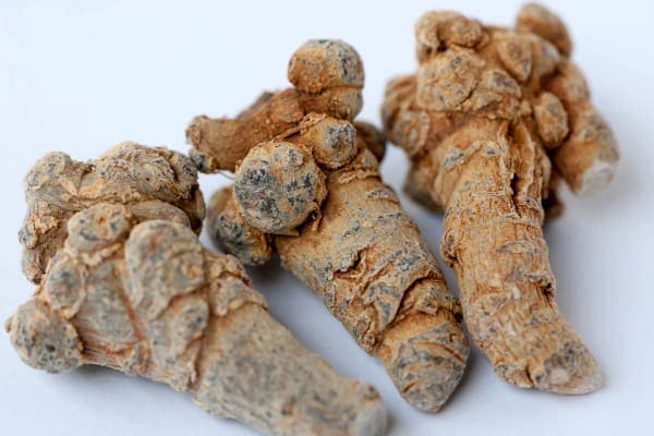 Pseudo ginseng root, photo 