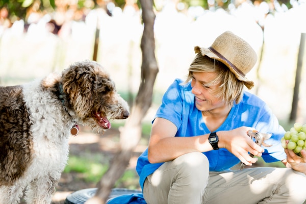 Boy holding grapes with his dog looking on