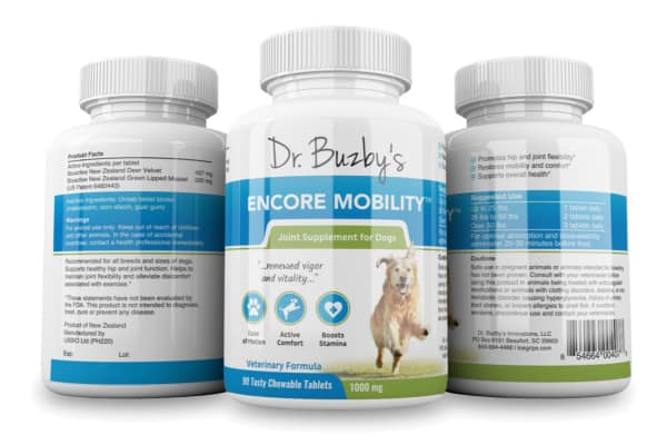 Do Joint Supplements for Dogs Work A Vet Oughta Know Dr