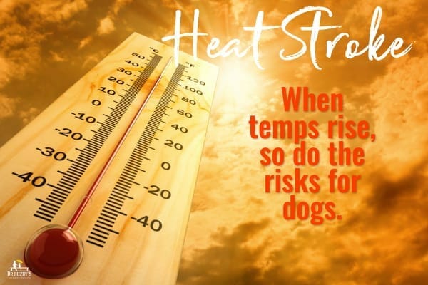 photo of hot sun and temperature gauge with title heat stroke: when temps rise, so do the risks for dogs