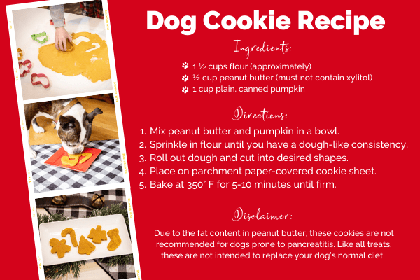 Holiday dog cookie recipe on red background with images of dog treats
