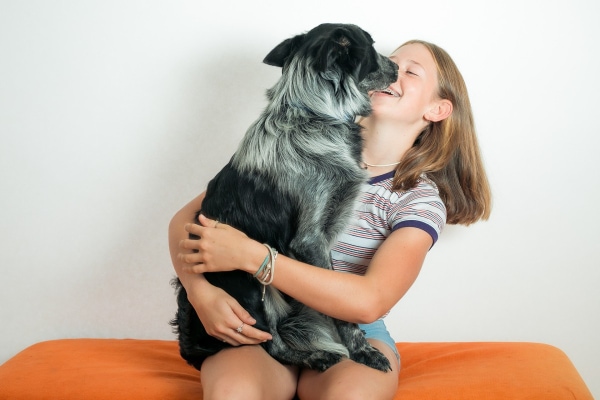 Dog sitting in his owner's lap for a happy visit at the vet clinic.