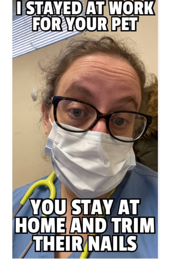 NYC vet wearing mask with headline: I stayed at work for your pet. You stay at home and trim their nails. photo meme. 