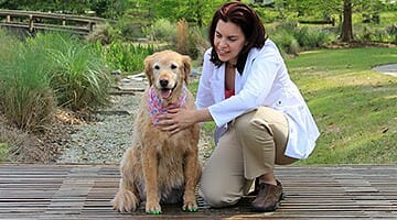 Integrative veterinarian Dr. Julie Buzby kneeling next to a senior dog who is wearing green ToeGrips that help prevent slipping on floors