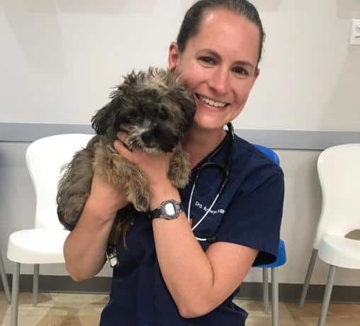 Veterinarian Dr. Kathryn Williams in a veterinary clinic holding a small, fluffy dog