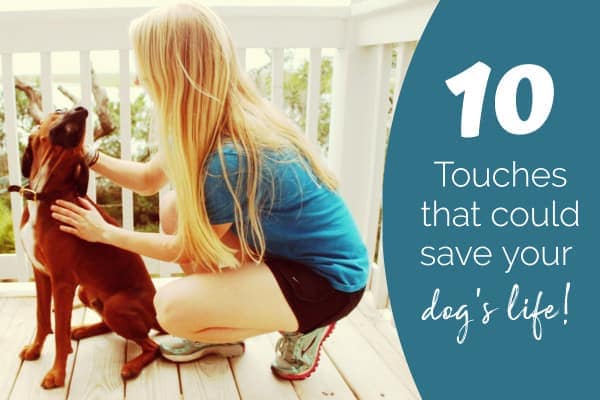 woman with dog and title 10 touches that could save your dog's life. photo. 