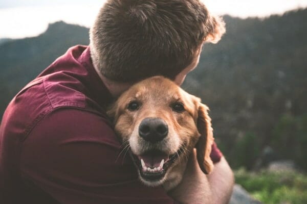 Man hugging senior dog, photo