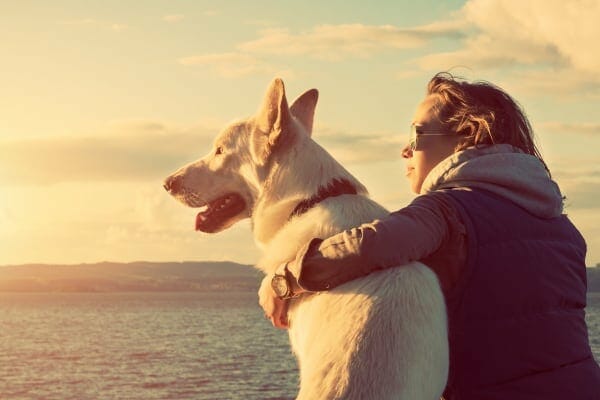 dog and dog parent looking into the horizon. photo. 