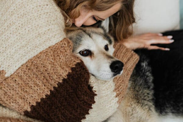 Beagle mix being cuddled by his female owner while lying on the couch