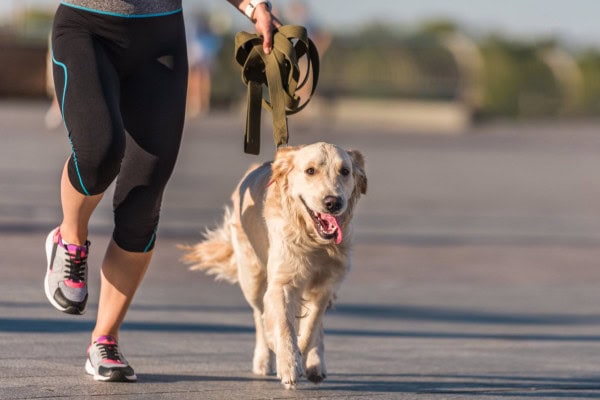 Dog running on the pavement with his owner