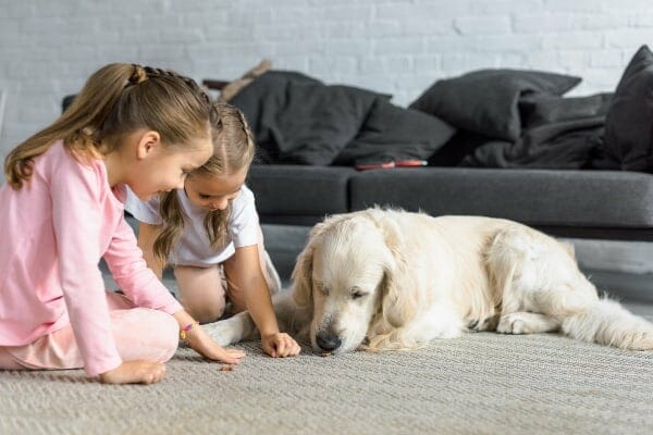 2 girls feeding treats to a dog, which is not one of the tips to get a dog to lose weight