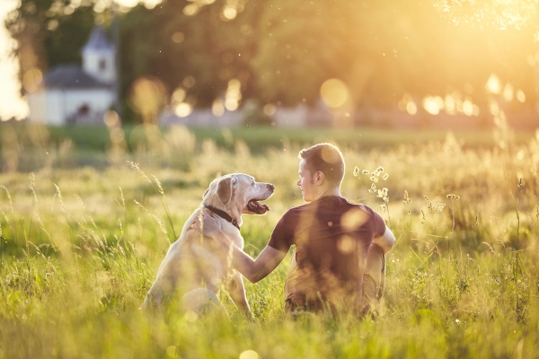 Owner sitting with his dog in a field