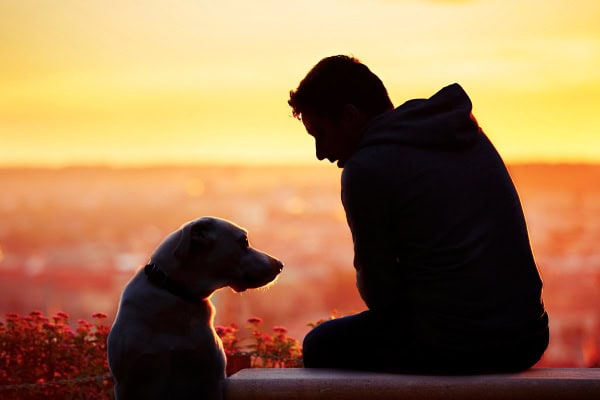 Owner sitting with his dog at sunset