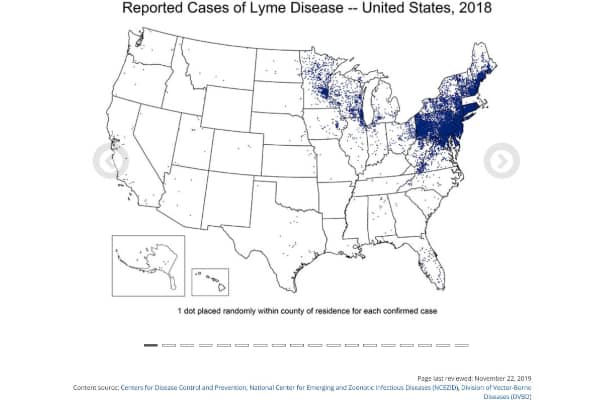 map of the United States showing reported cases of lyme disease used with permission from the CDC, graphic