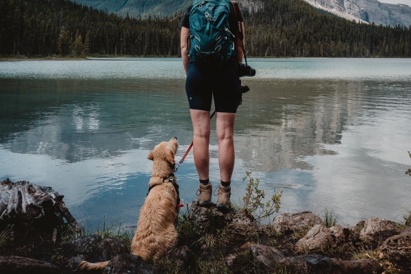 Dog sitting by a forested lake with his owner