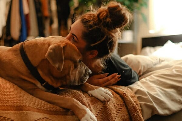 Mastiff mix snuggled on bed with female owner