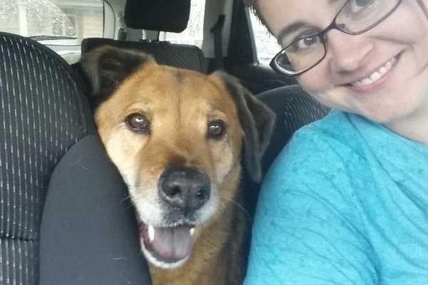 Brown dog named Bert sitting in car with his owner after getting his first melanoma vaccine.
