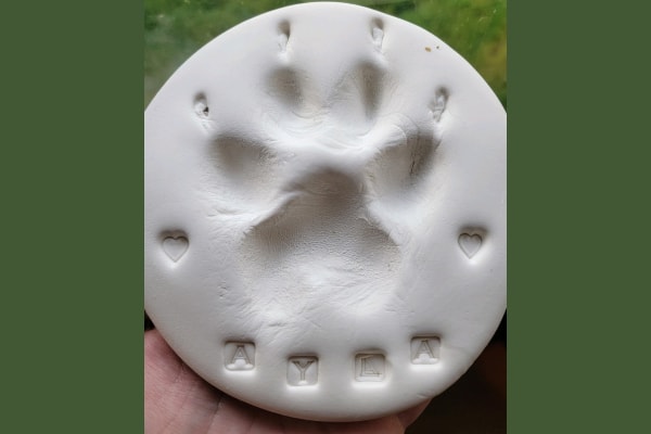 Dog's paw print pressed into clay as a dog memorial idea 