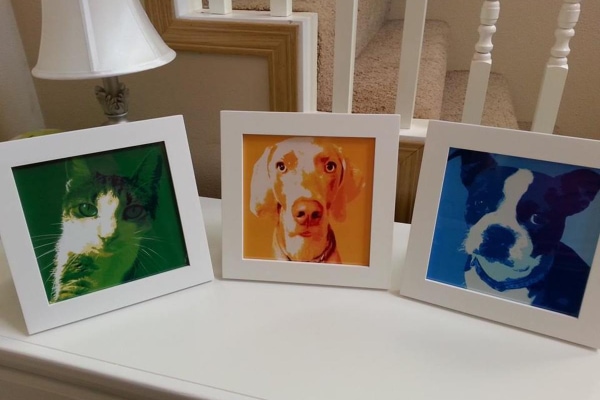 Framed photos of three pets in monochromatic colors