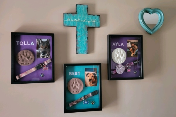 Shadowboxes of passed pets memorialized on the wall
