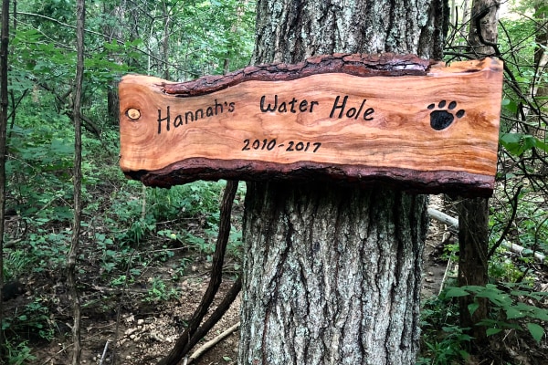 Memorial sign for a dog made out of natural wood and hung on a tree