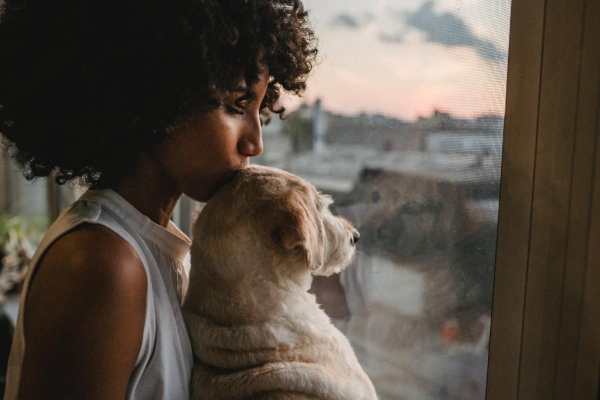 Dog parent kissing her dog 