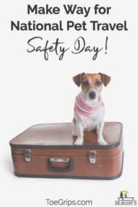 small dog sitting on suitcase and title make way for national pet travel safety day 