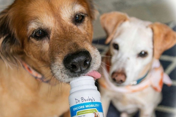 Two dogs getting their daily Encore supplement for natural pain relief.
