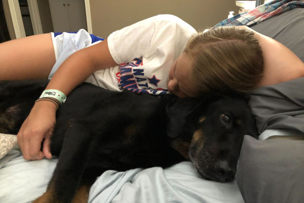 Veterinarian's dog who had a neurological problem snuggling with her human girl