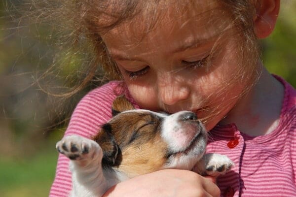 little girl kissing puppy on it's nose. photo. 