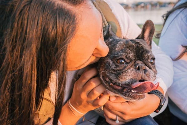 A dog owner kissing older dog