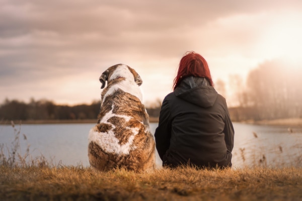 St. Bernard mix and owner sitting together looking out over a lake at sunset.