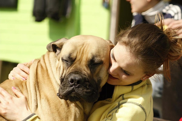 Female owner hugging her Mastiff.