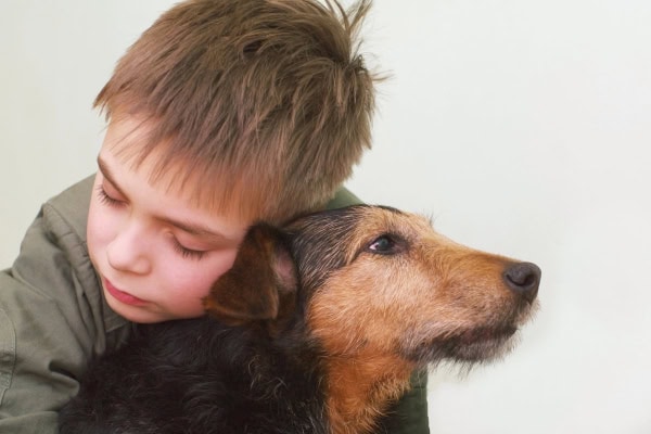 Boy hugging his senior dog anticipating loss of pet