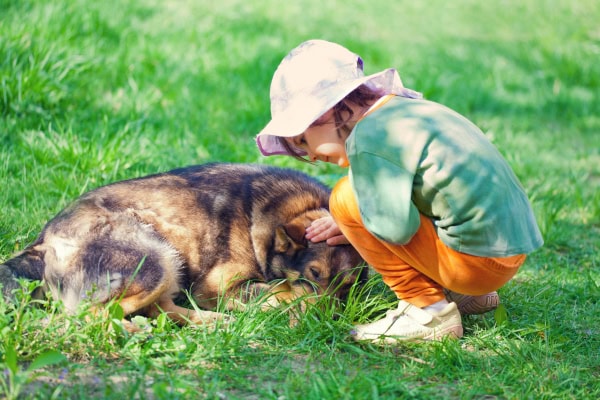 Small girl petting her dog outside in the yard