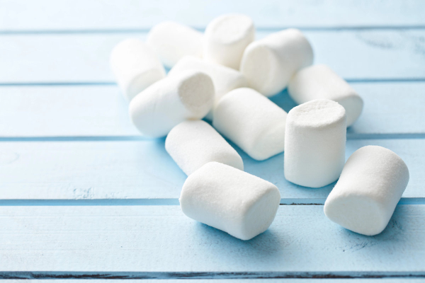 Marshmallows laid out to hide a pill in for a dog 