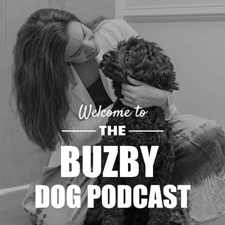 The Buzby Dog Podcast 01 - Welcome!