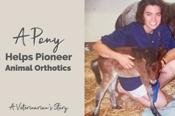 25-year old photo of a vet student and pony along with title, "Pony Helps Pioneer Animal Orthotics: A Veterinary Story" 
