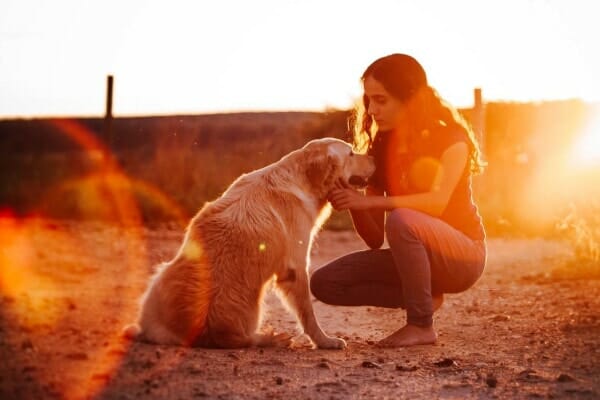 Does Your Dog Lick You before You Fall Asleep?: The Surprising Power of Canine Affection