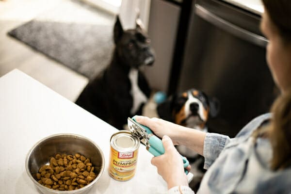 Owner opening a can of pumpkin puree while her two dogs look on, photo