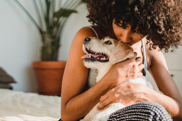 Senior Terrier being hugged by his owner who looks concerned about his quality of life 