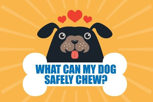 safe chew toys for puppies