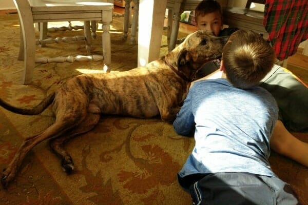 children on floor saying goodbye to a dog named luke