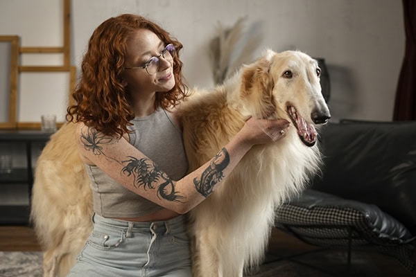 Owner petting her dog in the living room