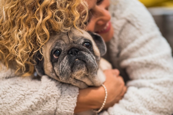 Dog parent hugging her senior Pug, photo