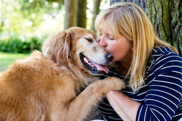 senior golden retriever dog and dog mom hugging. photo. 
