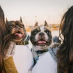 Routine Health Care for Dogs: 10 Habits to Start Right Now