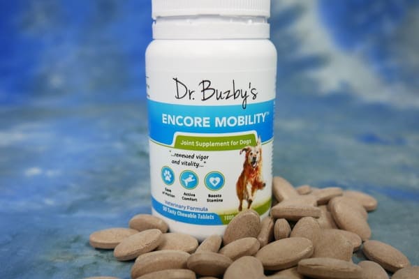 supplements for senior dogs, photo