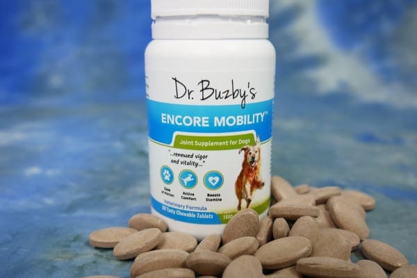 Best supplements hotsell for senior dogs